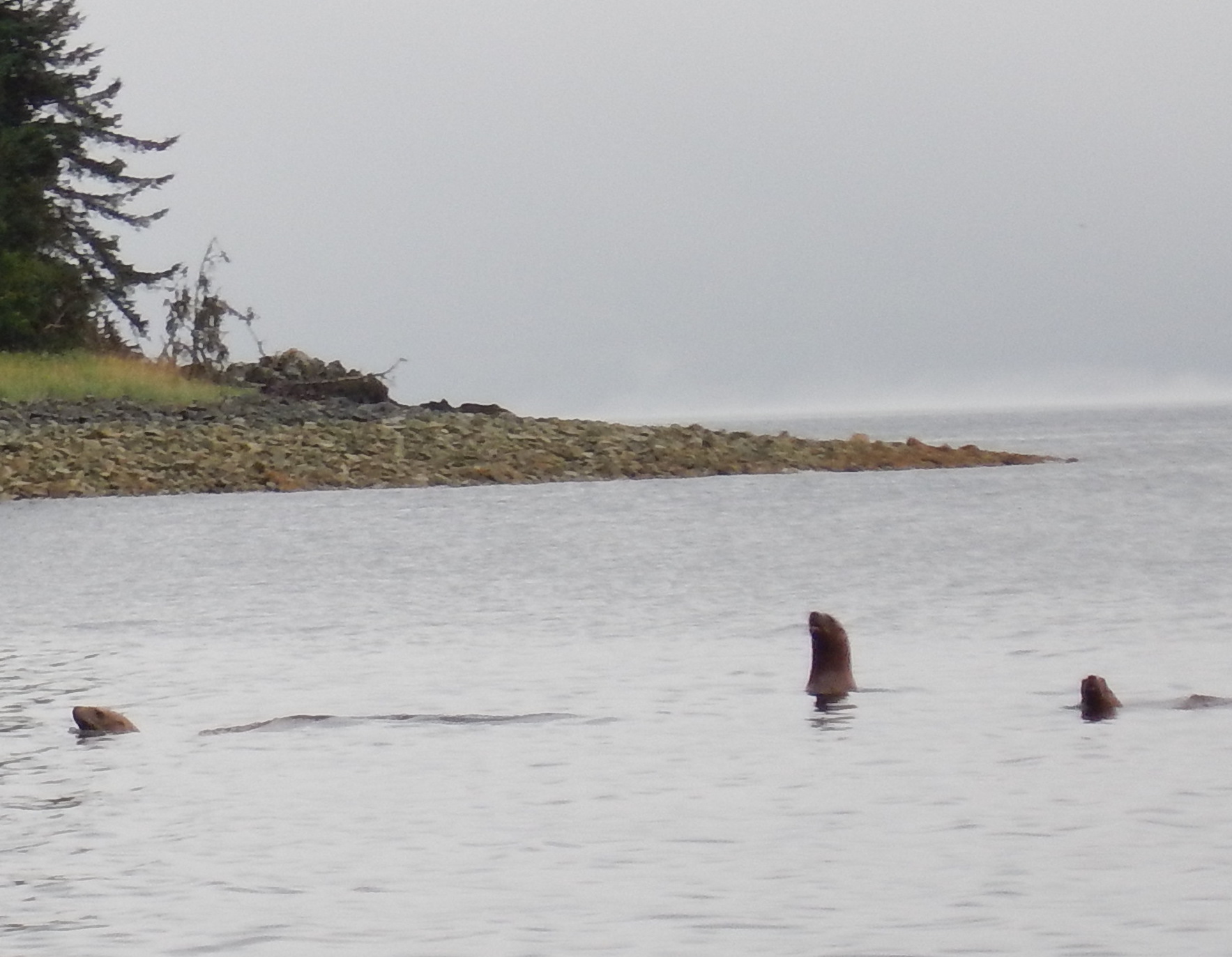 Last morning harbormaster, landlord and friend